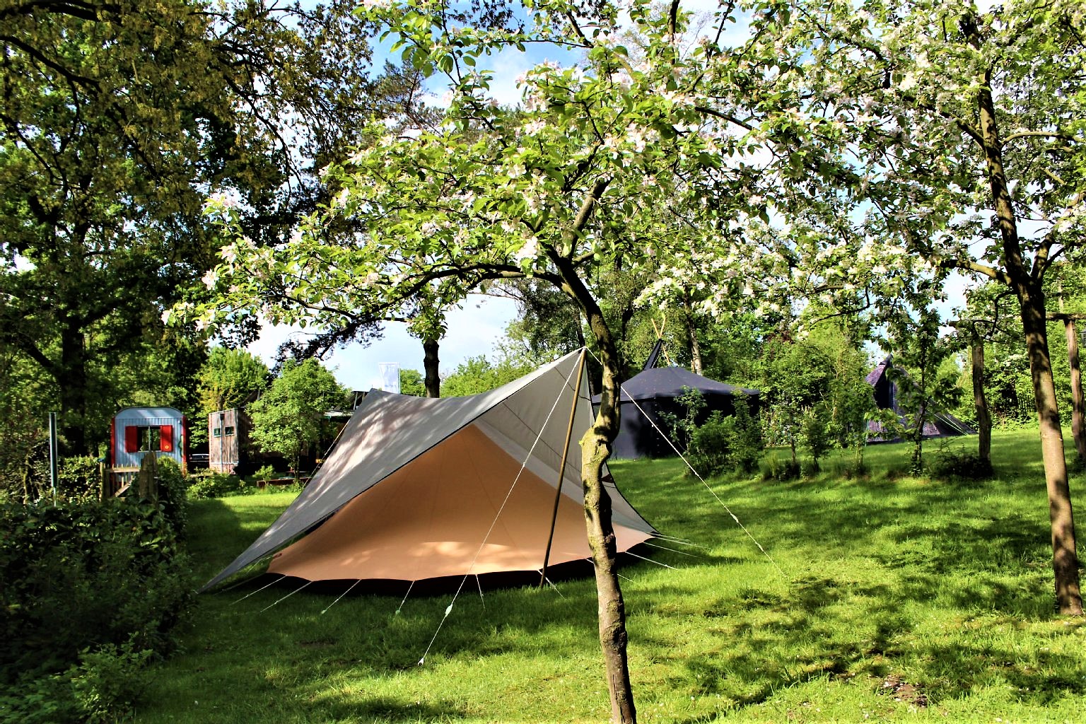 Burgsviks Camping Tältplats
